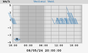 Wind Vector