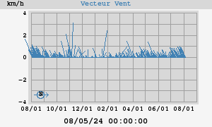 Wind Vector